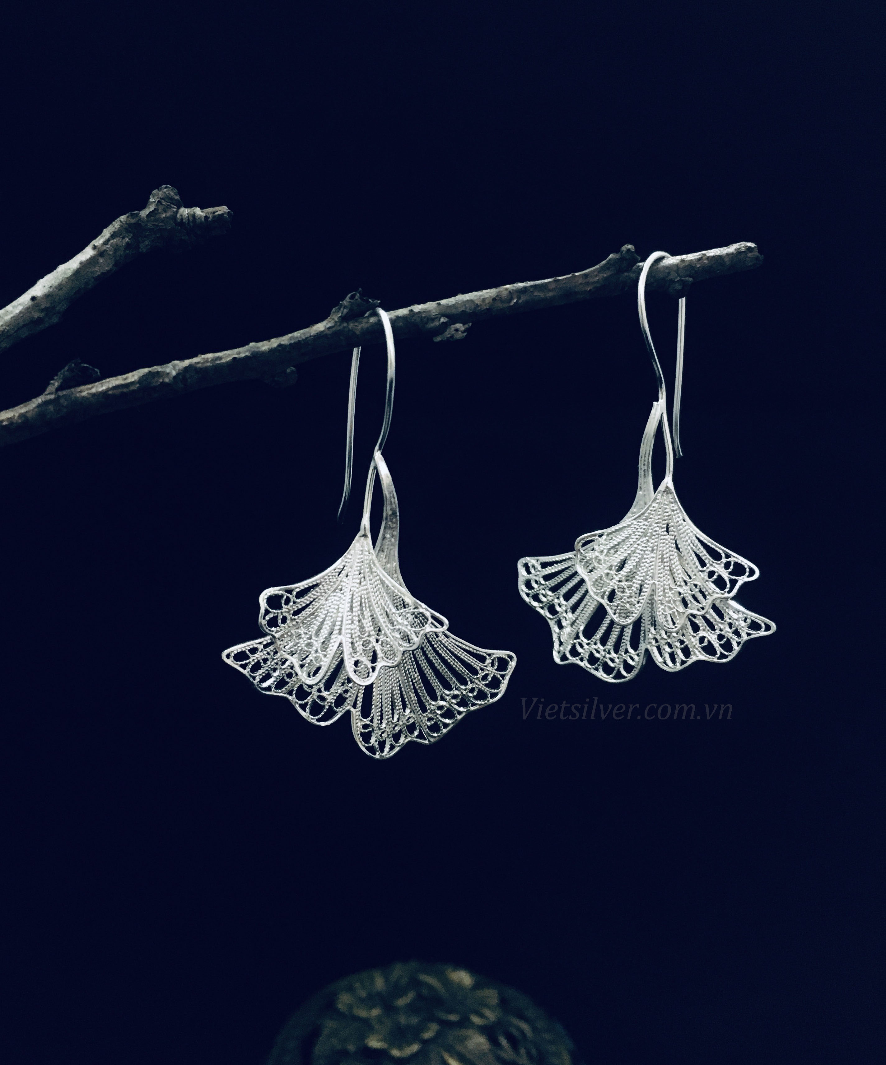 Hoa tai bạc đậu lá ngân hạnh kép